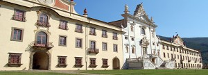 museo storia naturale pisa