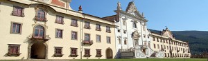 museo storia naturale pisa