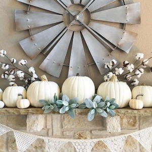 8ed64f539248e8c83d9670176993c96c--fall-mantels-white-pumpkins