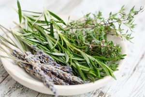 Lavanda piante aromatiche composizione